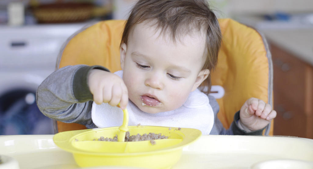 alimentos para bebés