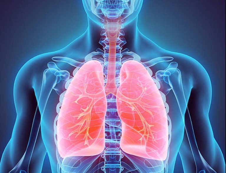 animación vías respiratorias