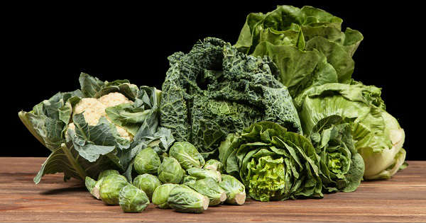 verduras de hoja verde